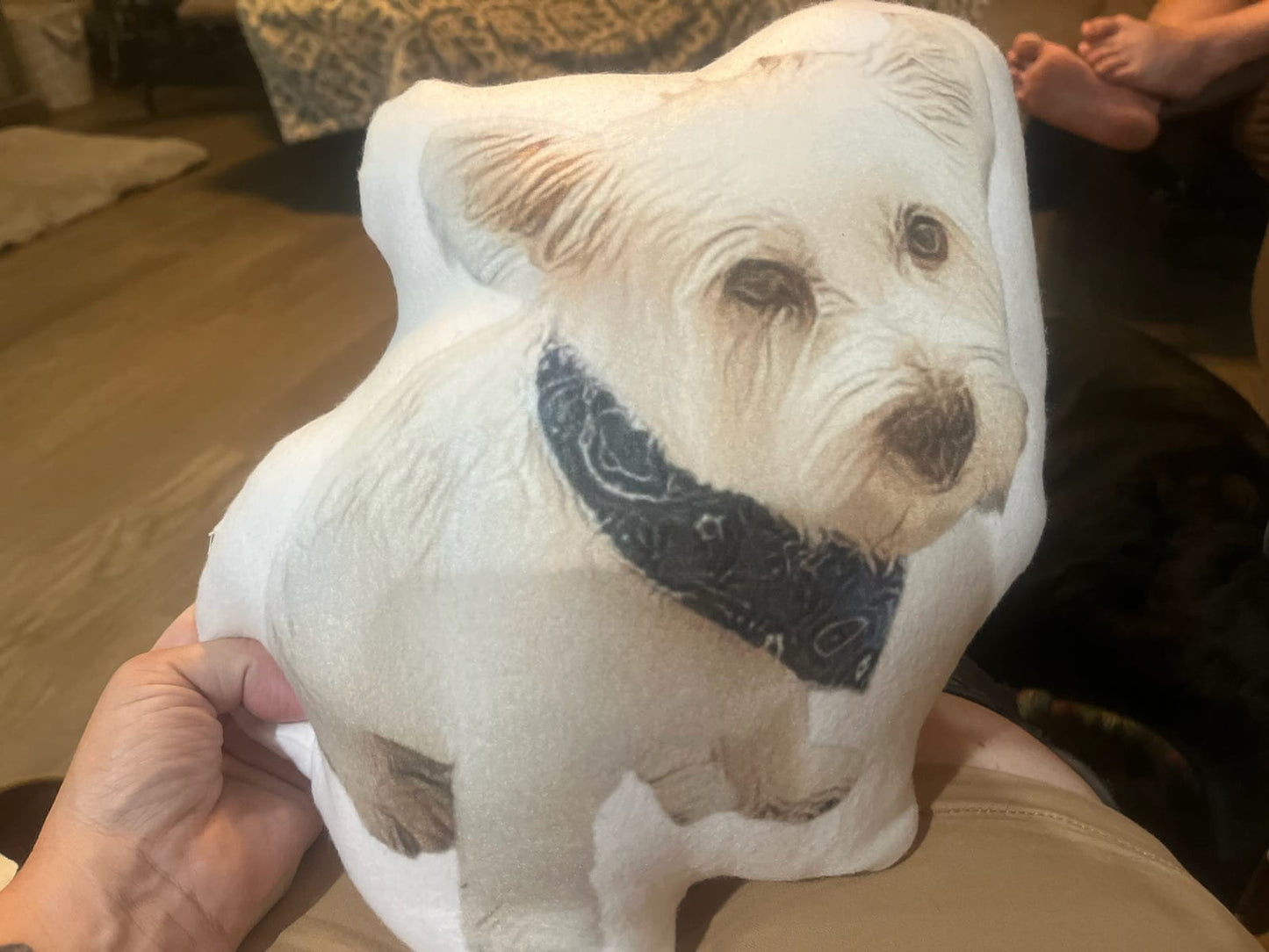 Pet Memorial Pillow