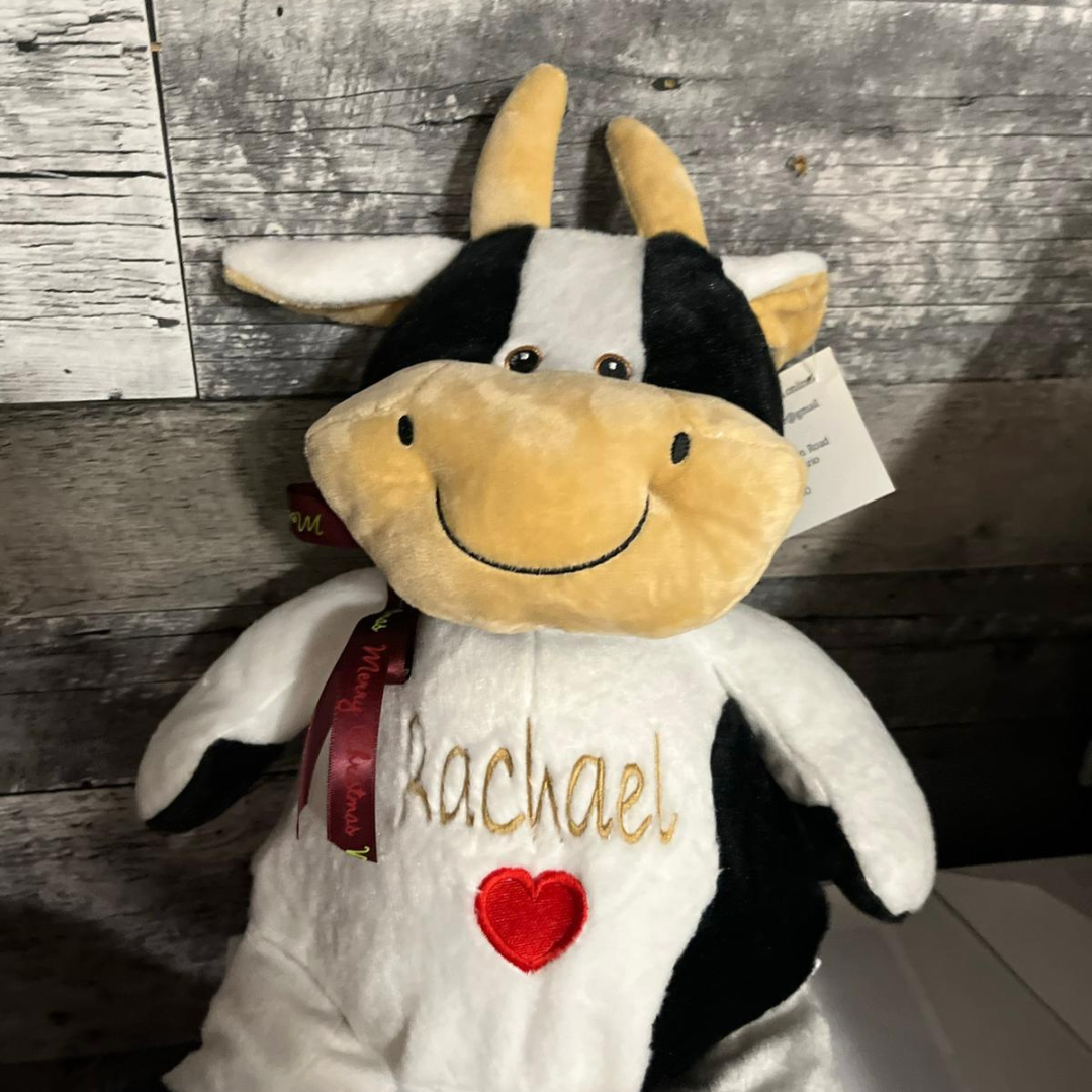 Custom Personalized Stuffies