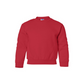 YOUR DESIGN Basic Youth Crew Sweatshirt HTV Print- 8 Colour Options